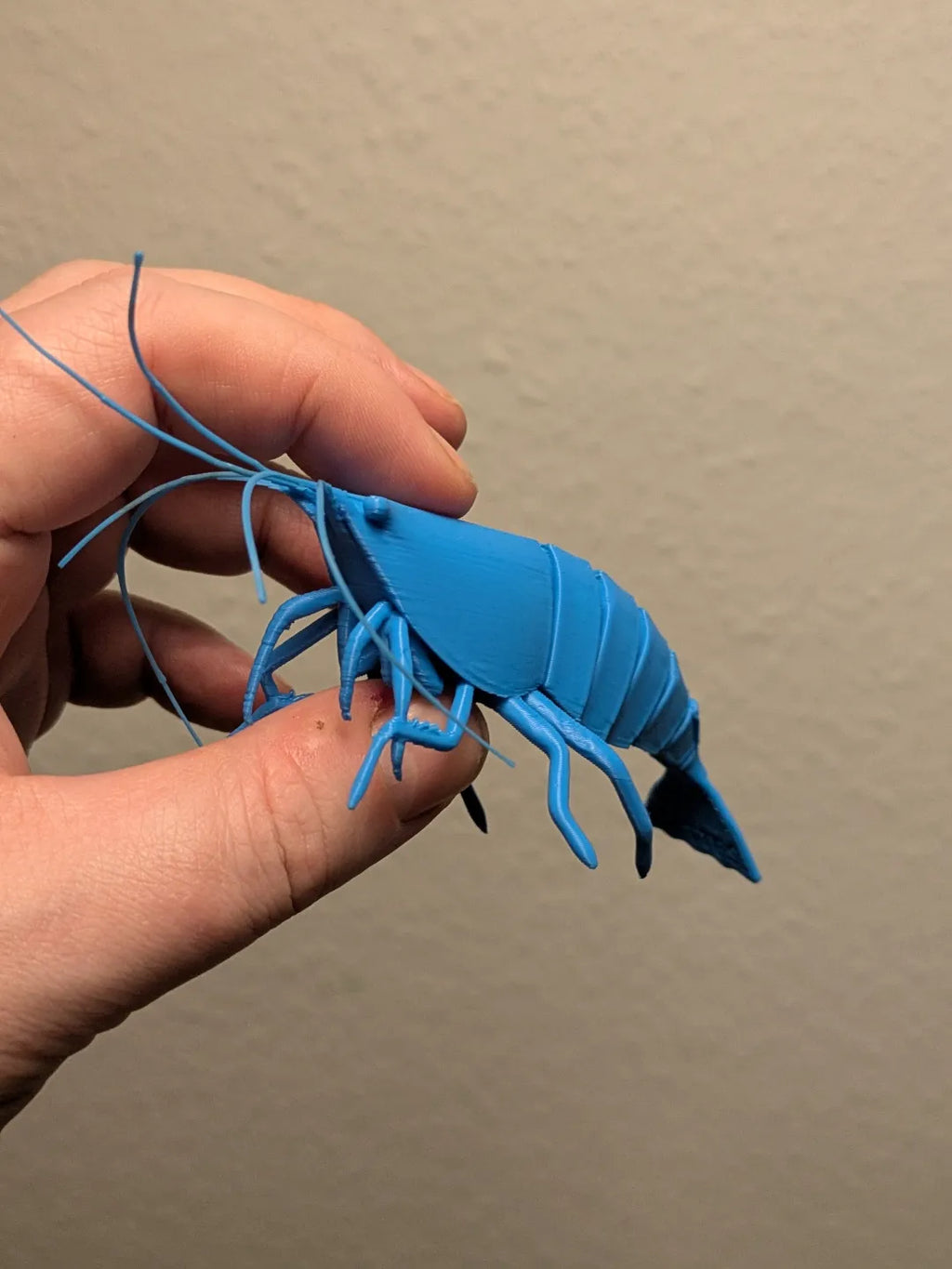 Articulated Shrimp (designer photo)