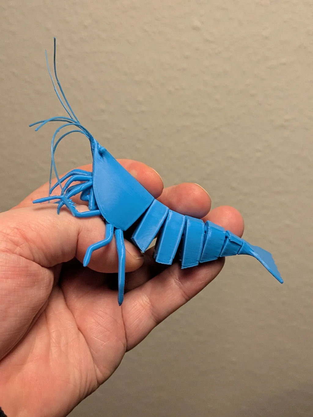 Articulated Shrimp (designer photo)