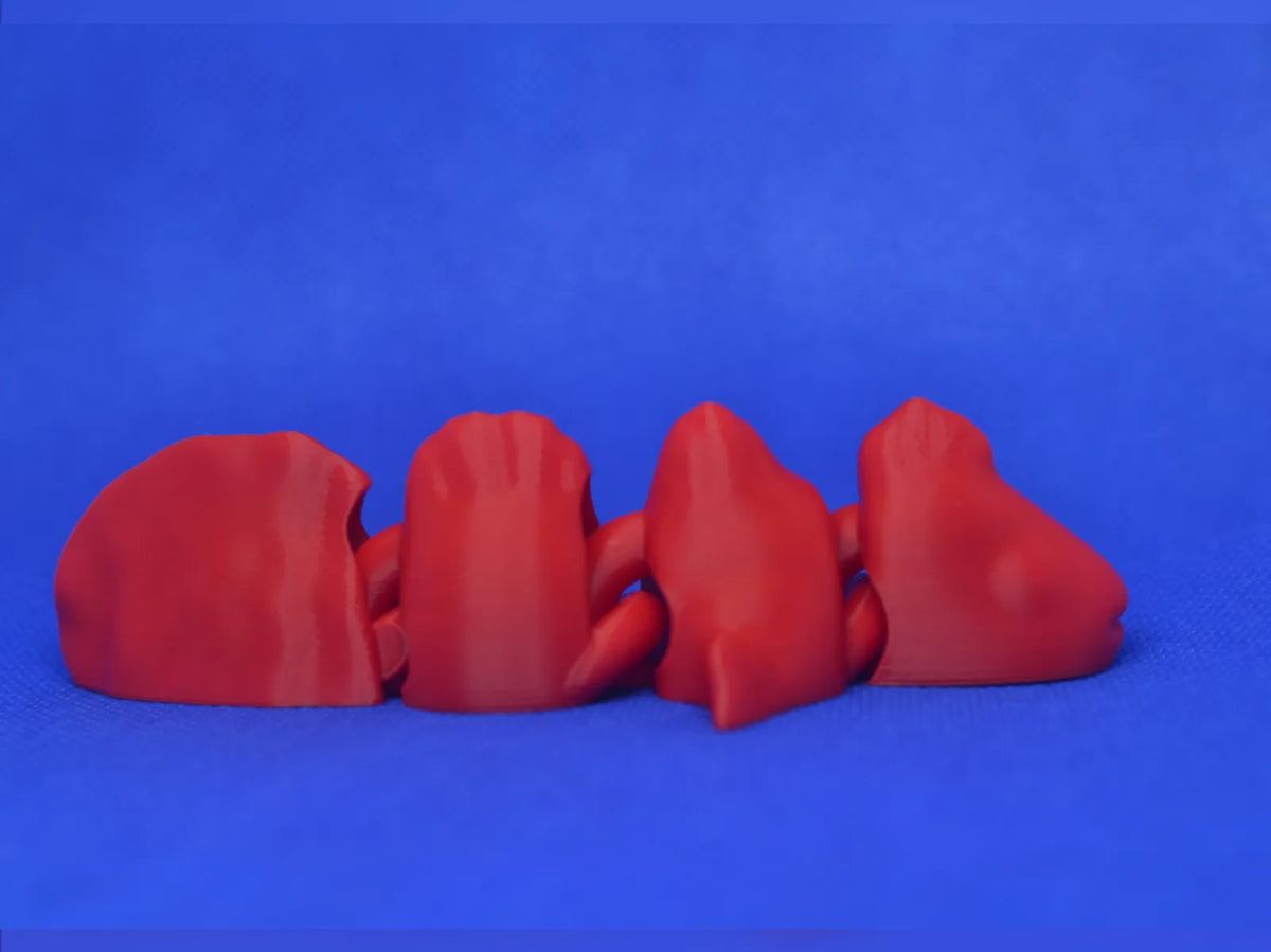Articulated Fish (designer photo)
