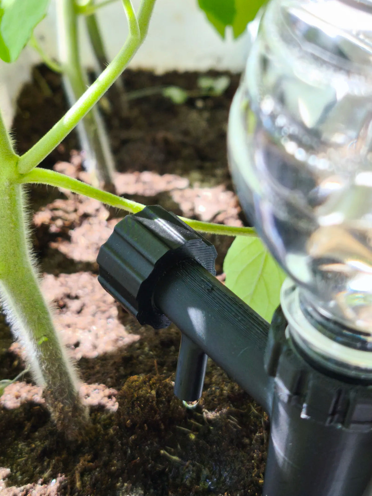 Plant Drip Waterer (designer photo)