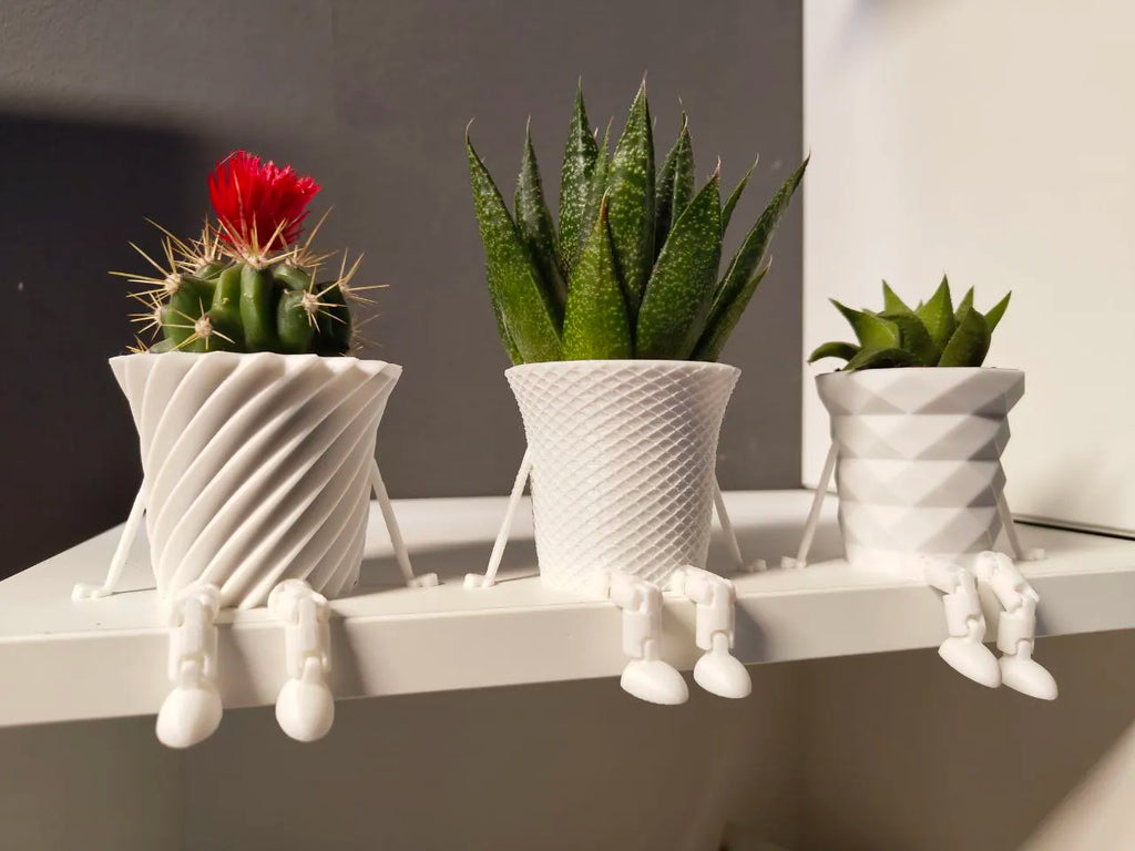 Mini Cactus Family Pots (designer photo)
