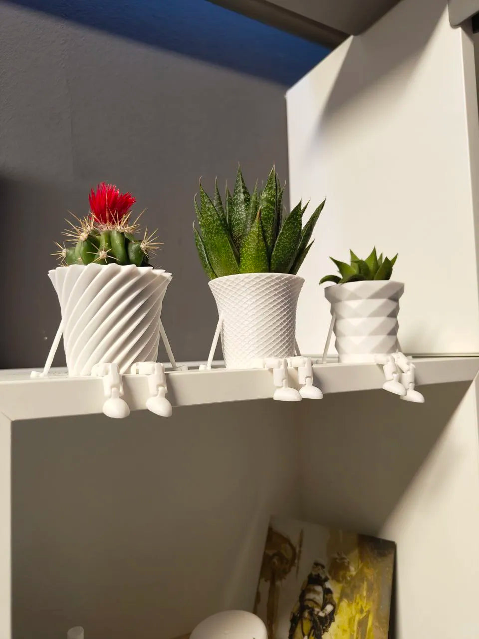 Mini Cactus Family Pots (designer photo)