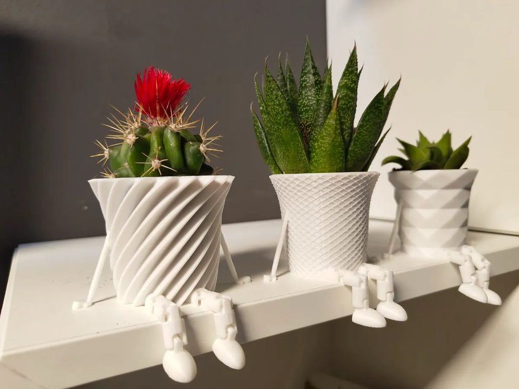 Mini Cactus Family Pots (designer photo)