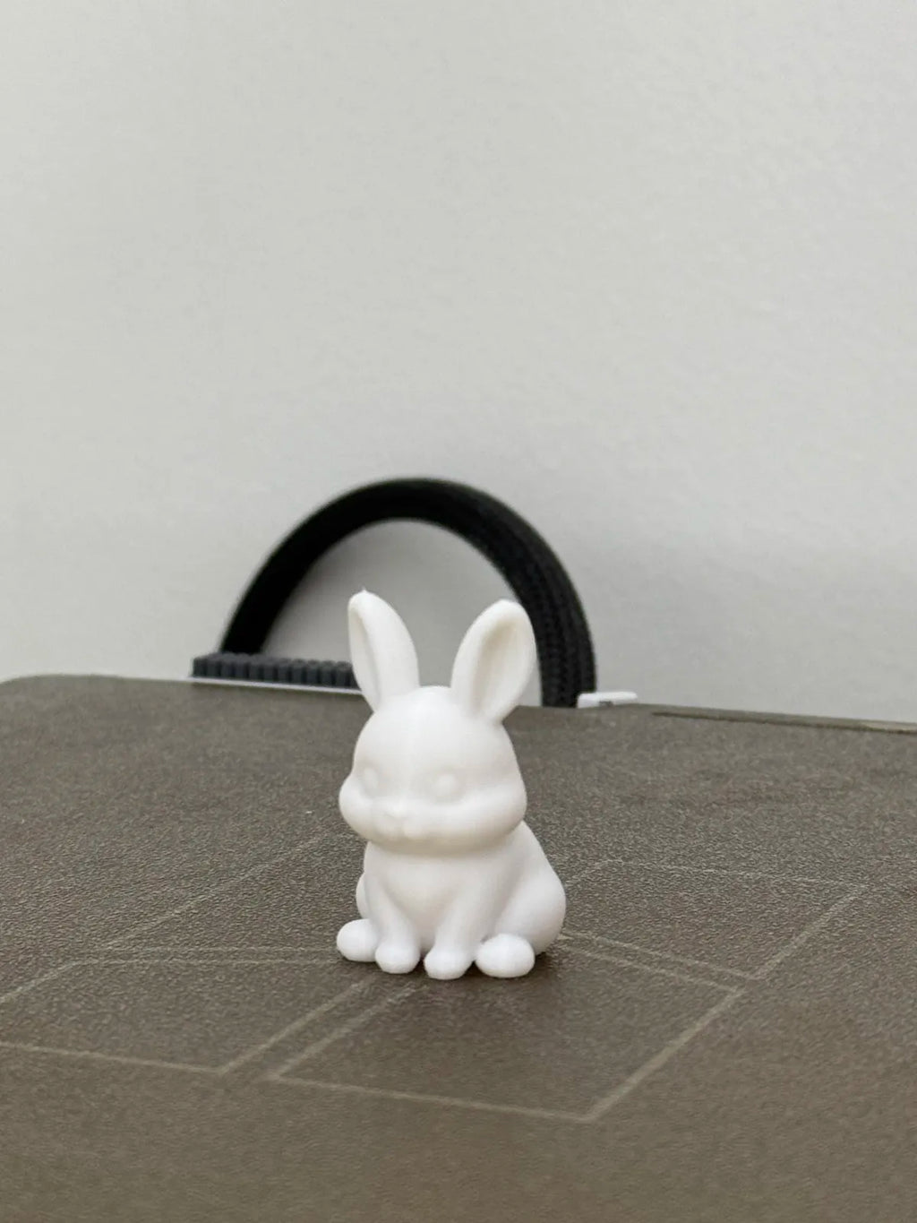 Cute Bunny (designer photo)
