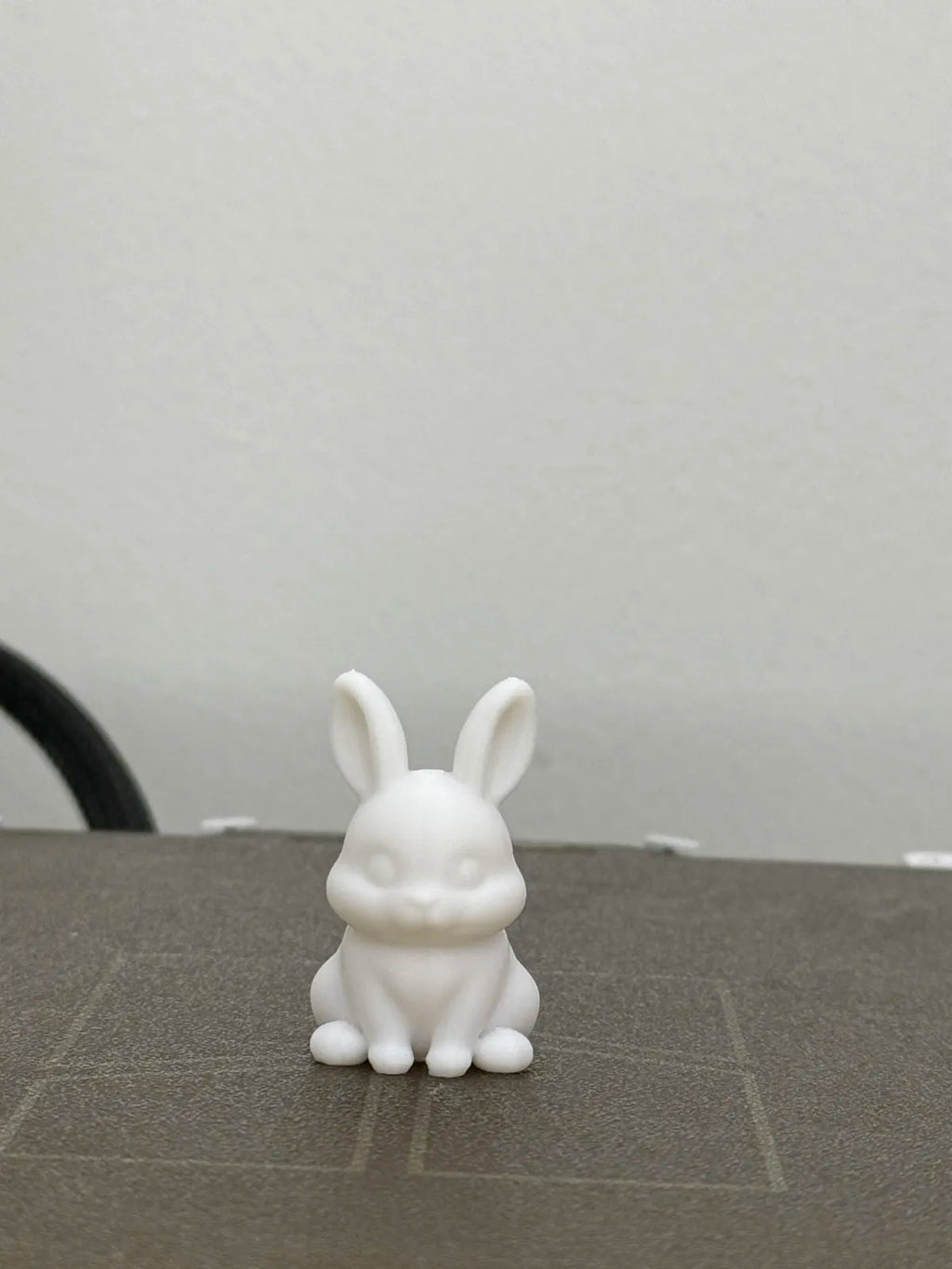 Cute Bunny (designer photo)