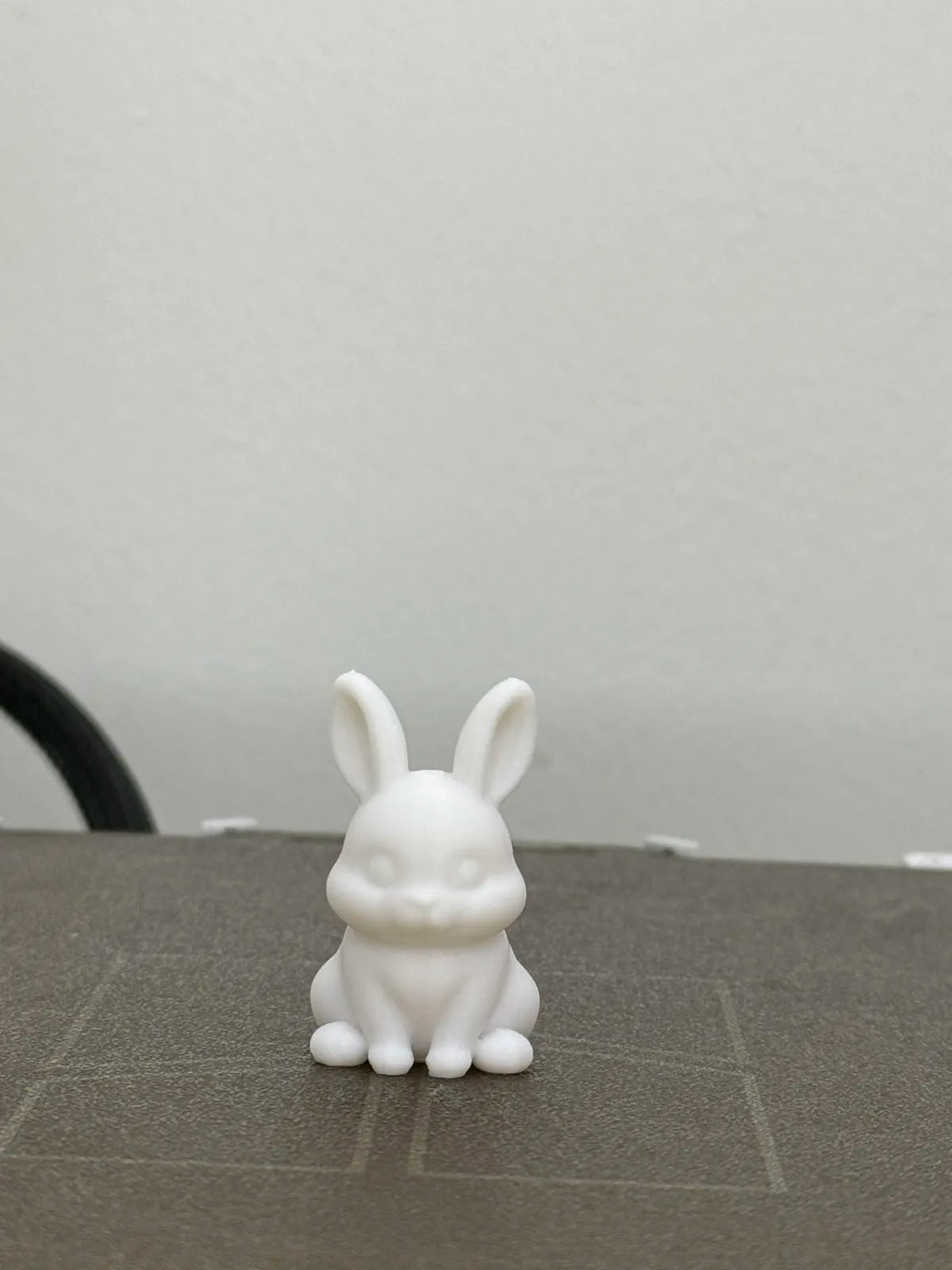 Cute Bunny (designer photo)