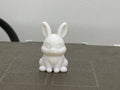 Cute Bunny (designer photo)