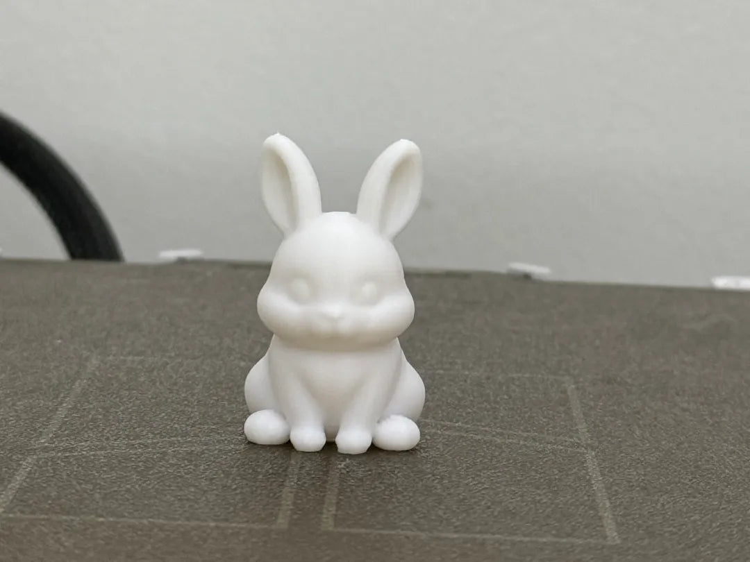Cute Bunny (designer photo)