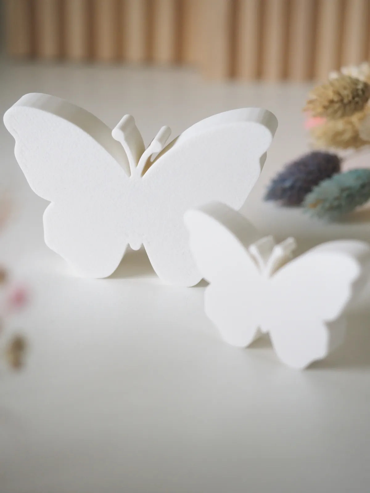 Decorative Butterflies (designer photo)