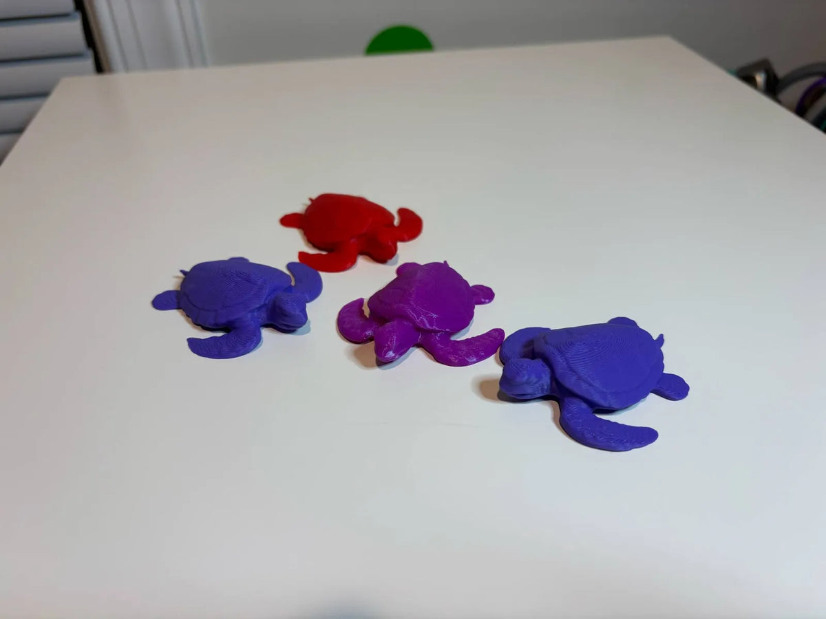 Mini Turtle (designer photo)