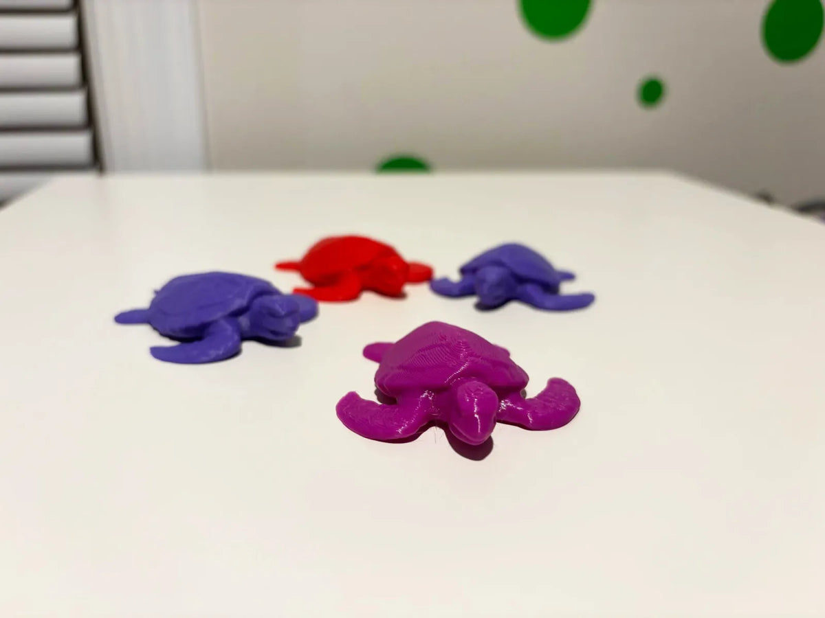 Mini Turtle (designer photo)