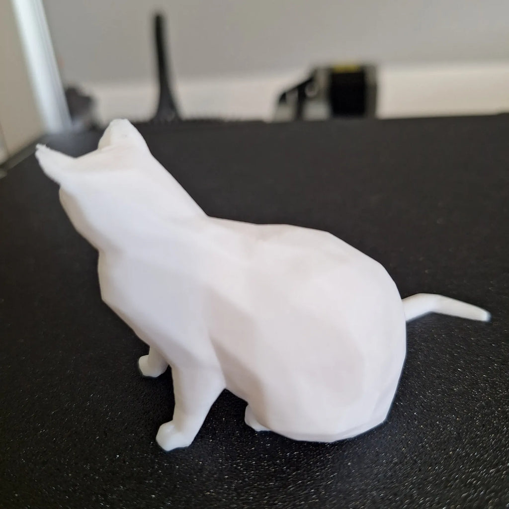 Low-Poly Cat (designer photo)
