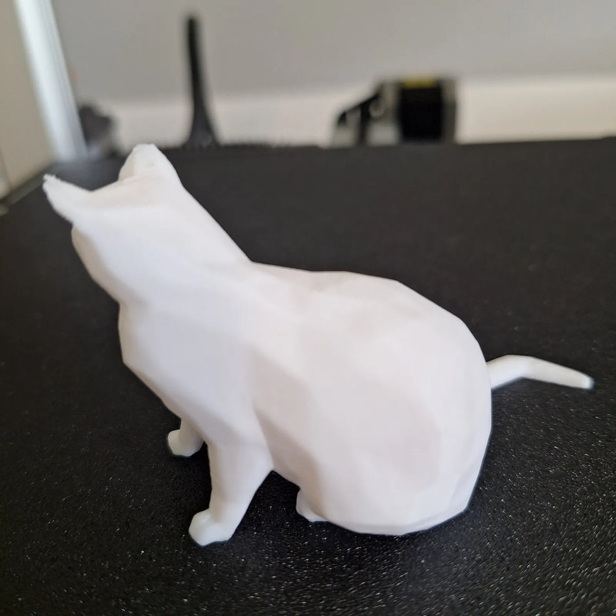 Low-Poly Cat (designer photo)