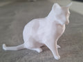 Low-Poly Cat (designer photo)