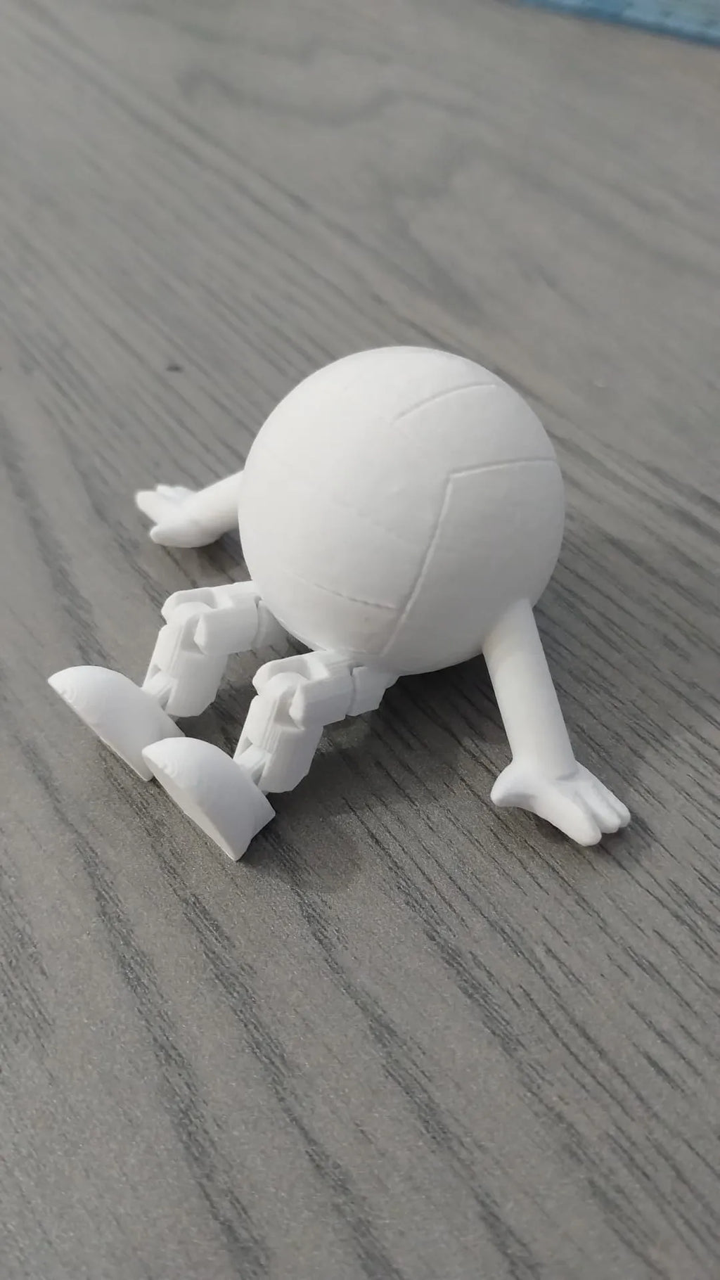 Volleyball Buddy (designer photo)
