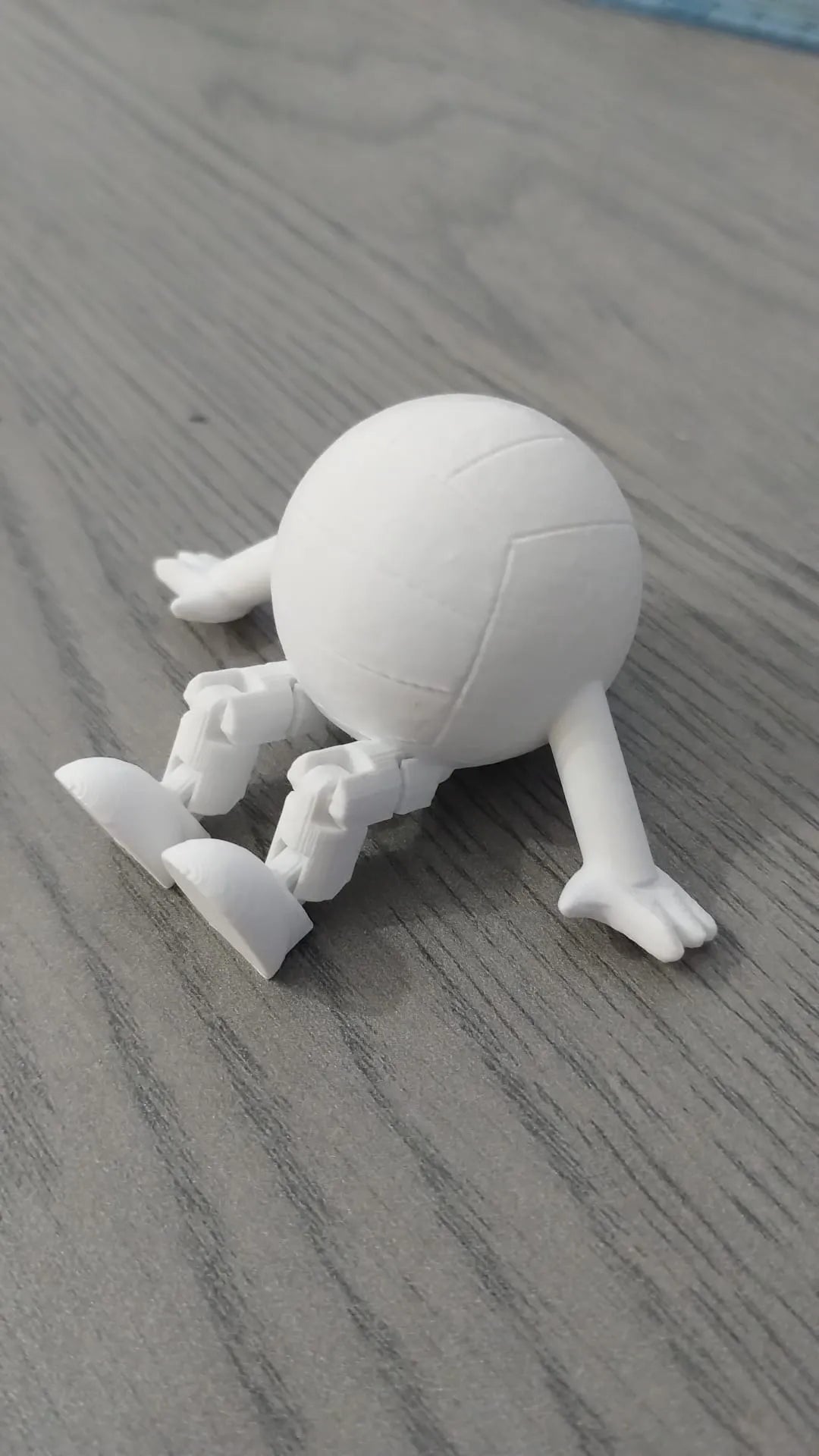 Volleyball Buddy (designer photo)