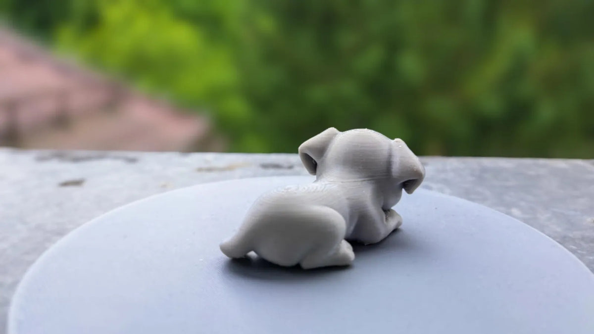 Little Cute Dog (designer photo)