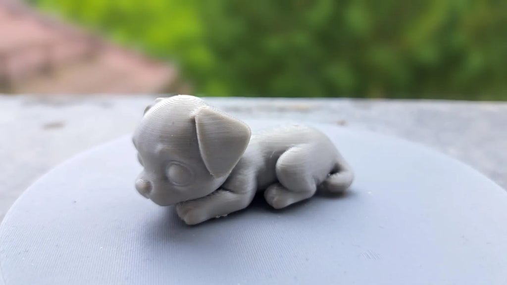 Little Cute Dog (designer photo)