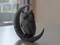 Owl on Crescent Moon (designer photo)