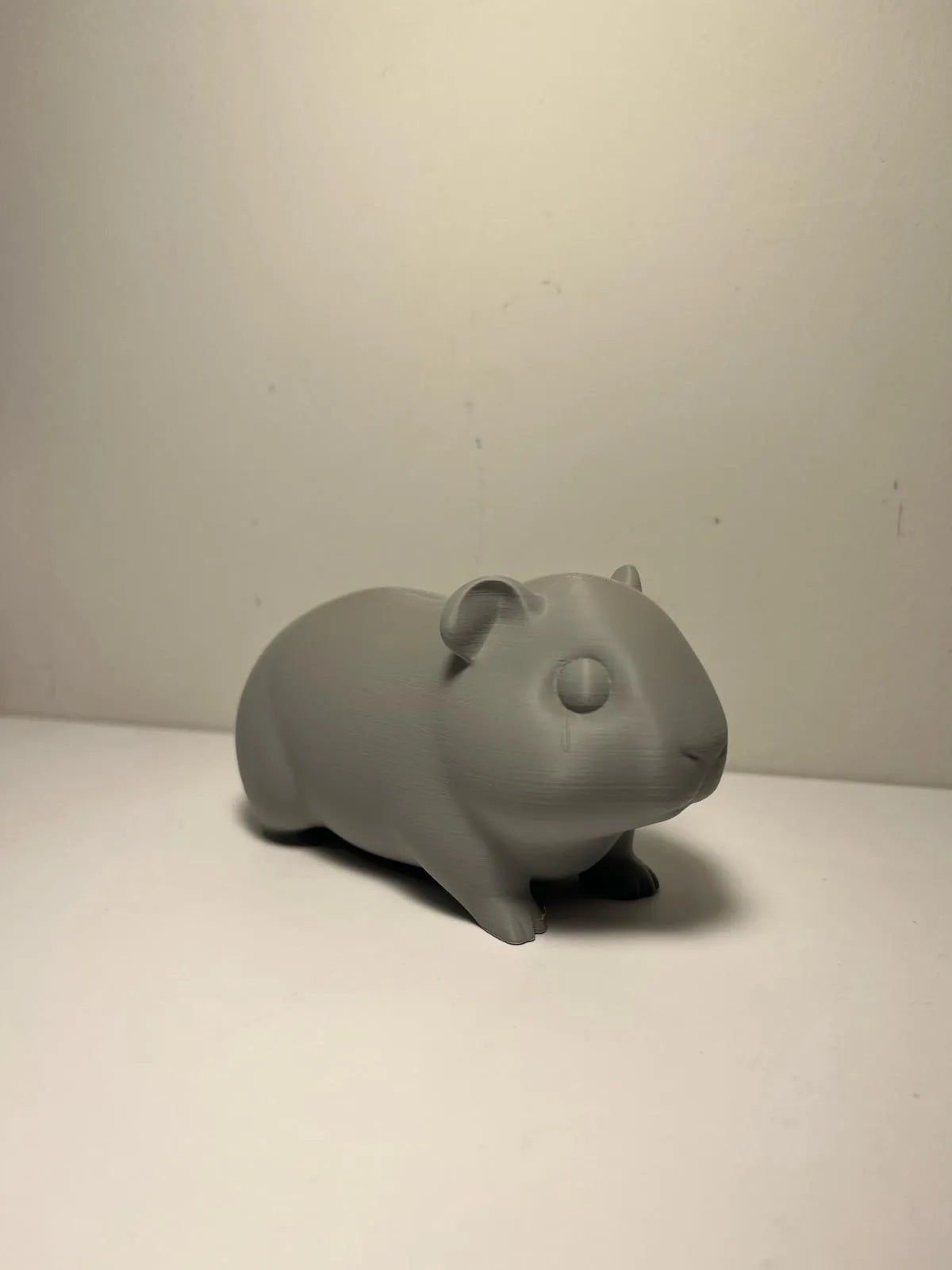 Little Guinea Pig (designer photo)
