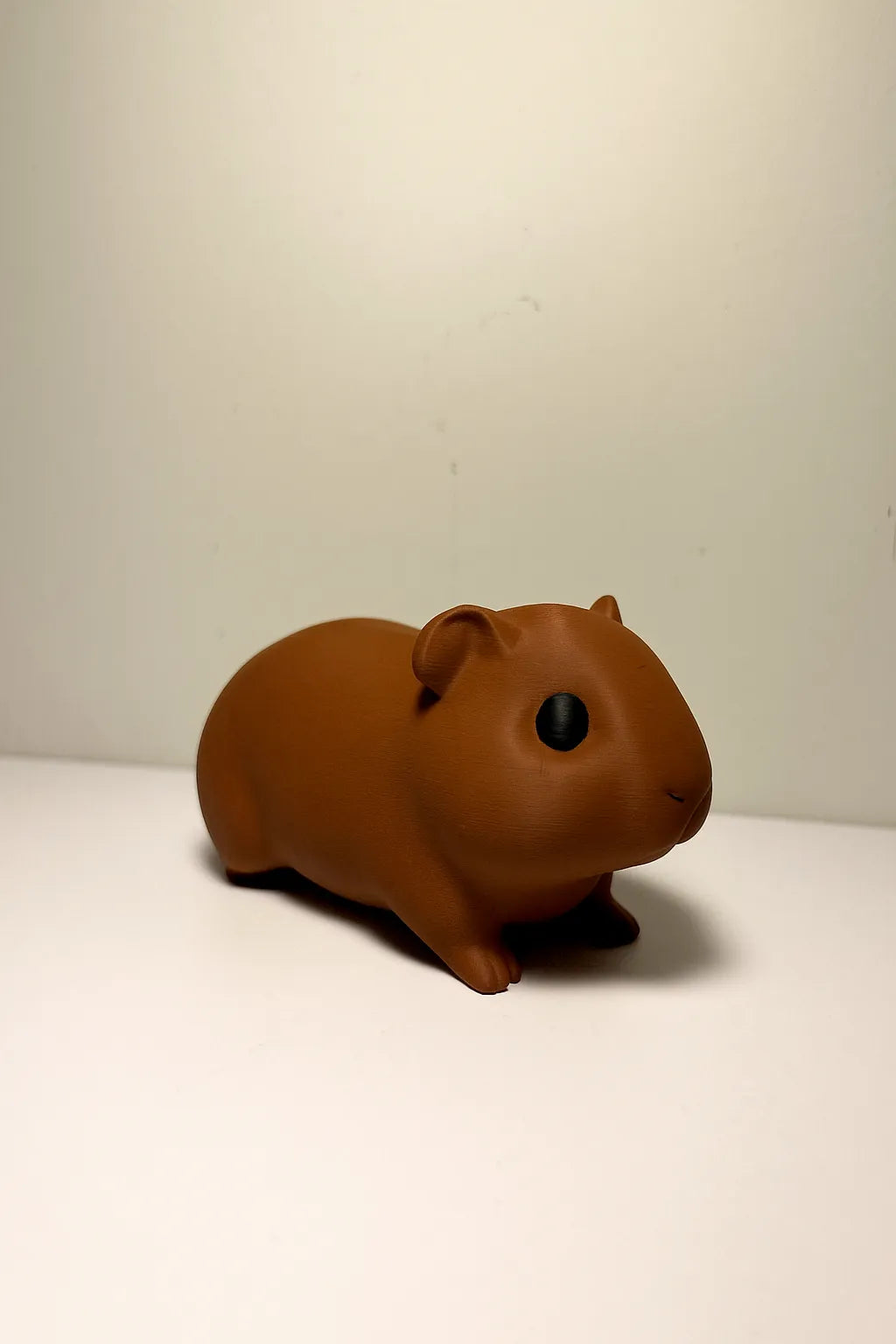 Little Guinea Pig (designer photo)