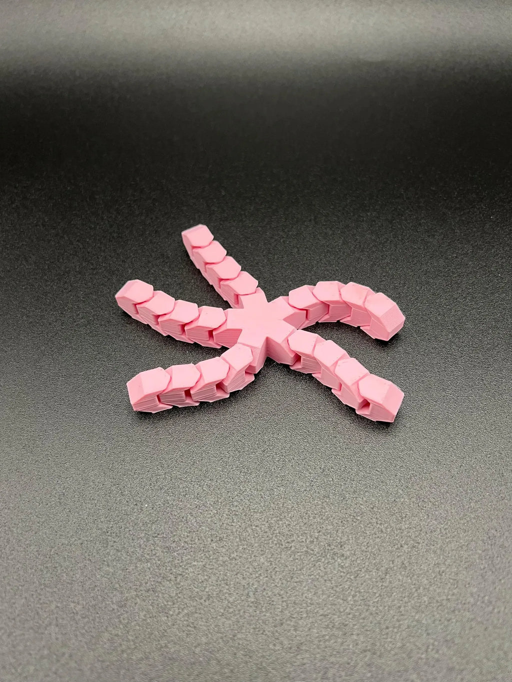 Articulated Starfish (designer photo)