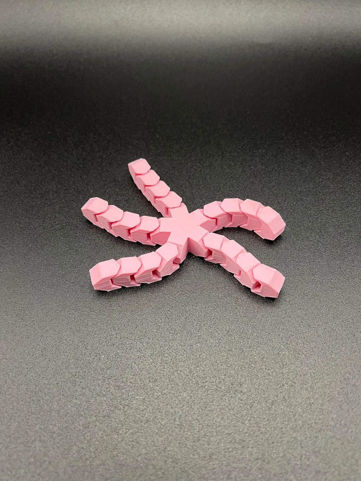 Articulated Starfish (designer photo)
