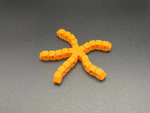 Articulated Starfish (designer photo)