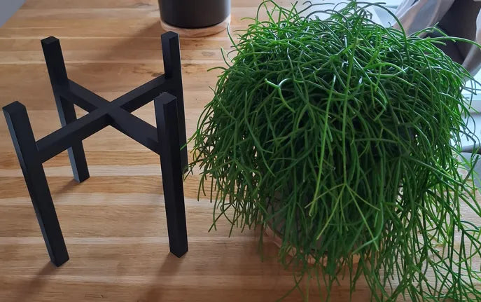 Plant Stand (designer photo)