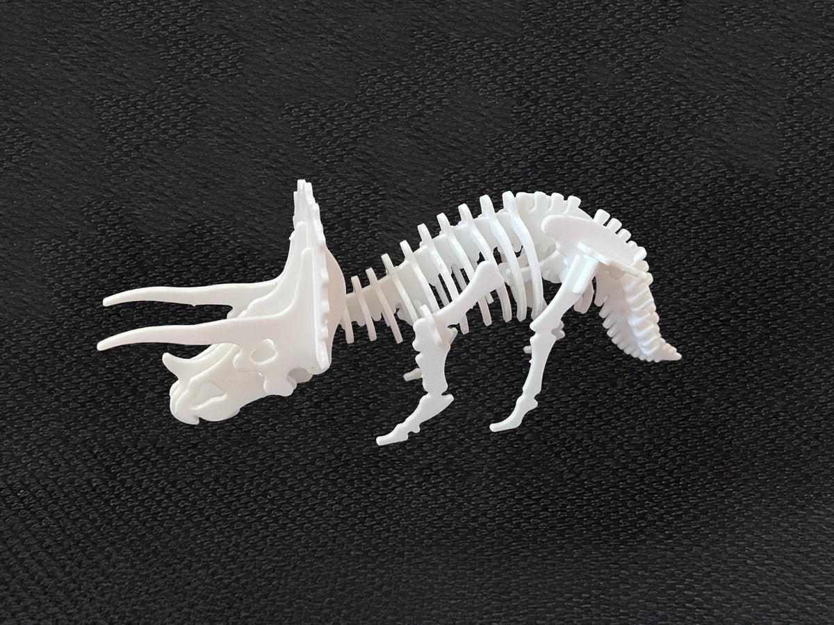 Triceratops Kit Card (designer photo)