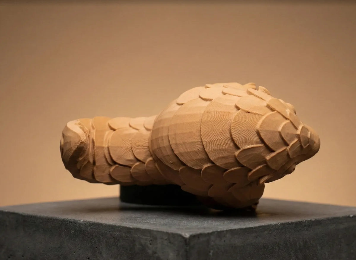 Pango-Pal the Pangolin (designer photo)