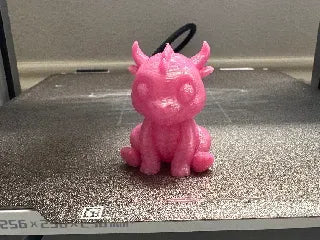 Baby Dragon (designer photo)