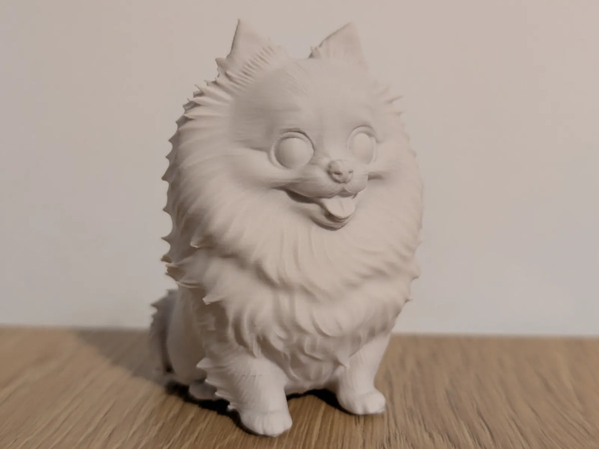 Pomeranian Dog (designer photo)