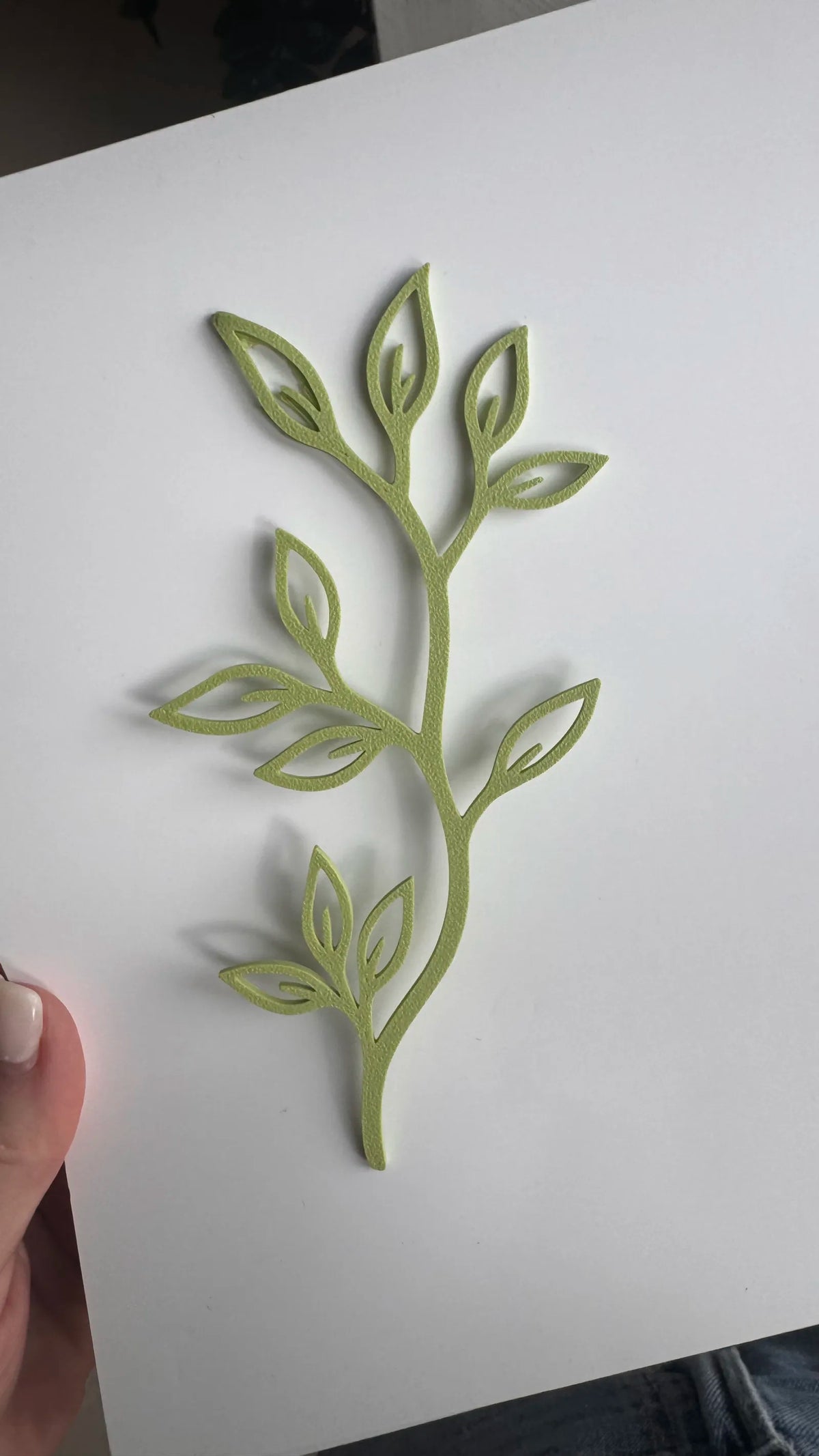 Botanical Leaf Branches (designer photo)