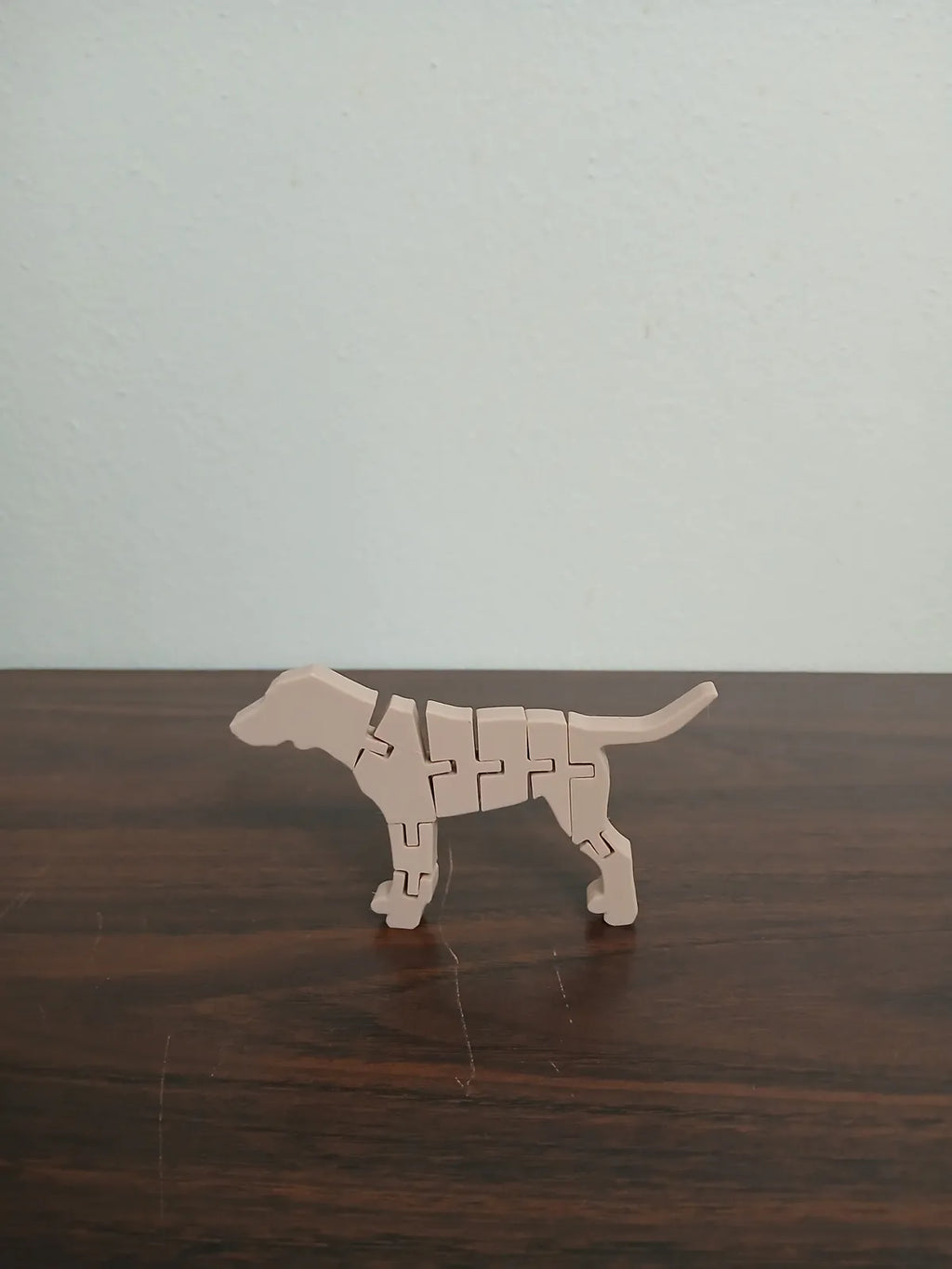 Flexi Dog (designer photo)