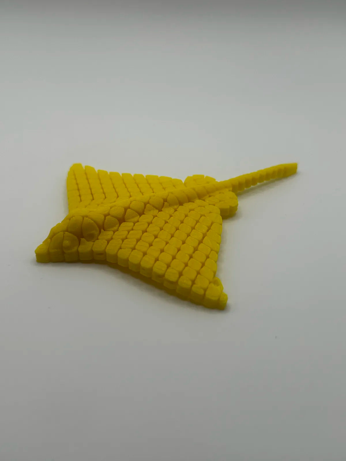 Articulated Stingray (designer photo)