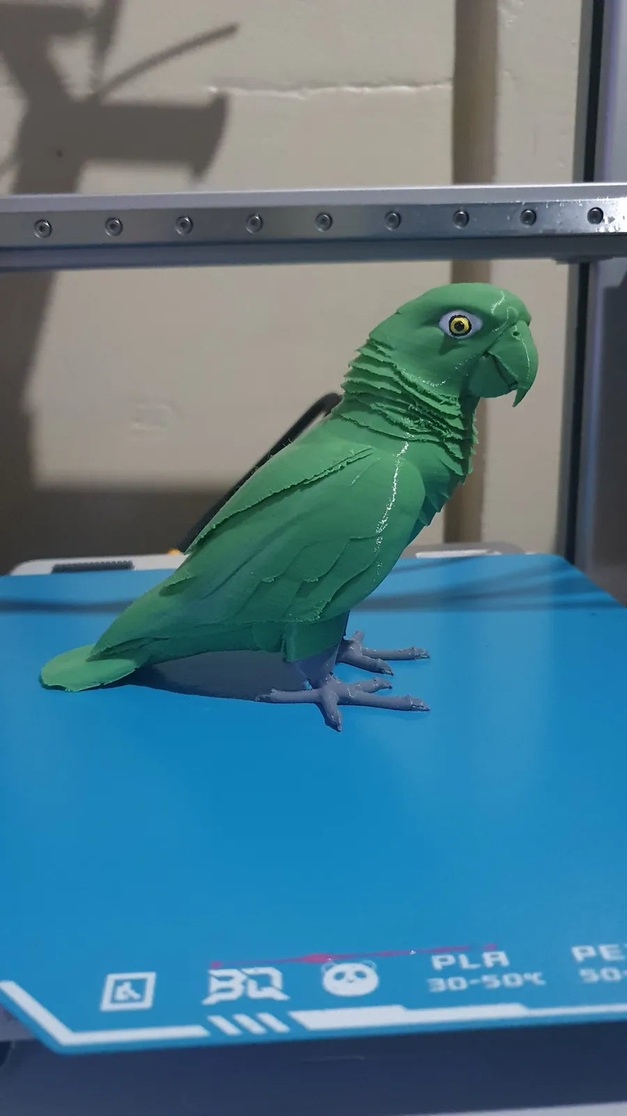 Mangrove Parrot (designer photo)