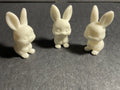 Tiny Easter Bunny (designer photo)