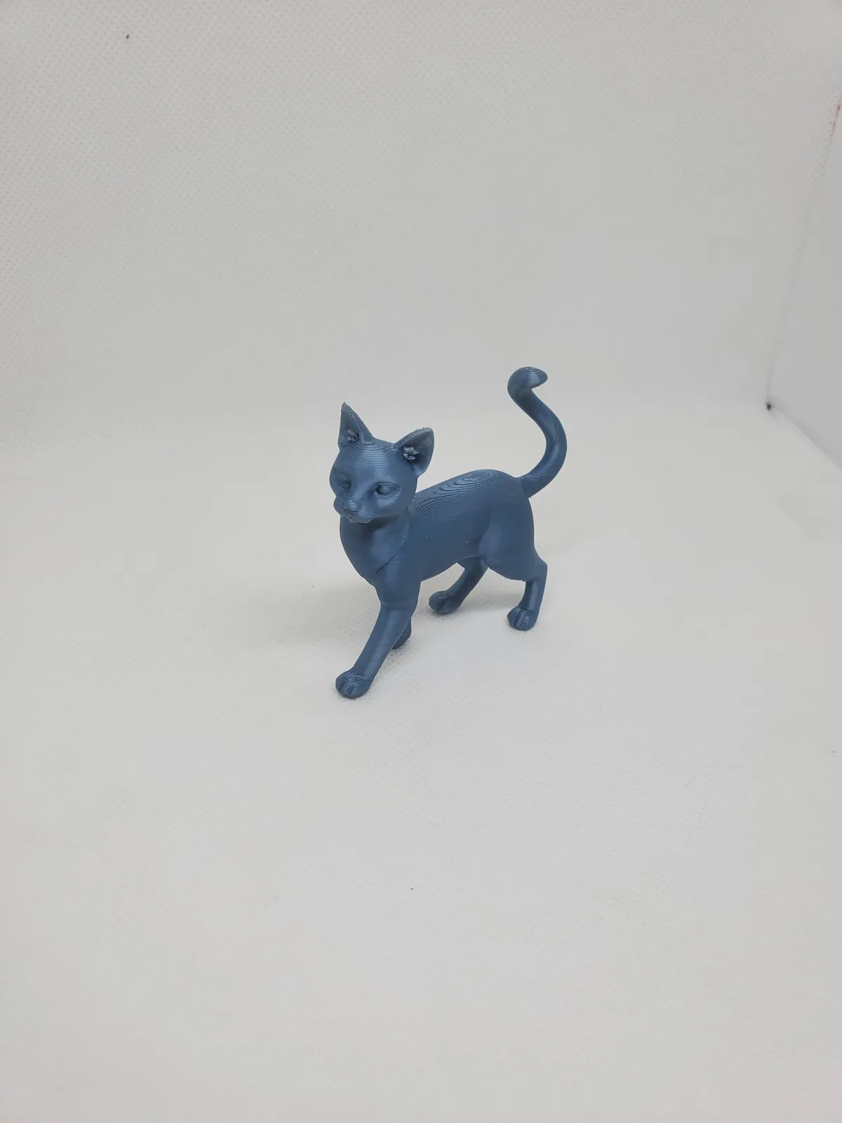 Cute Standing Cat (designer photo)