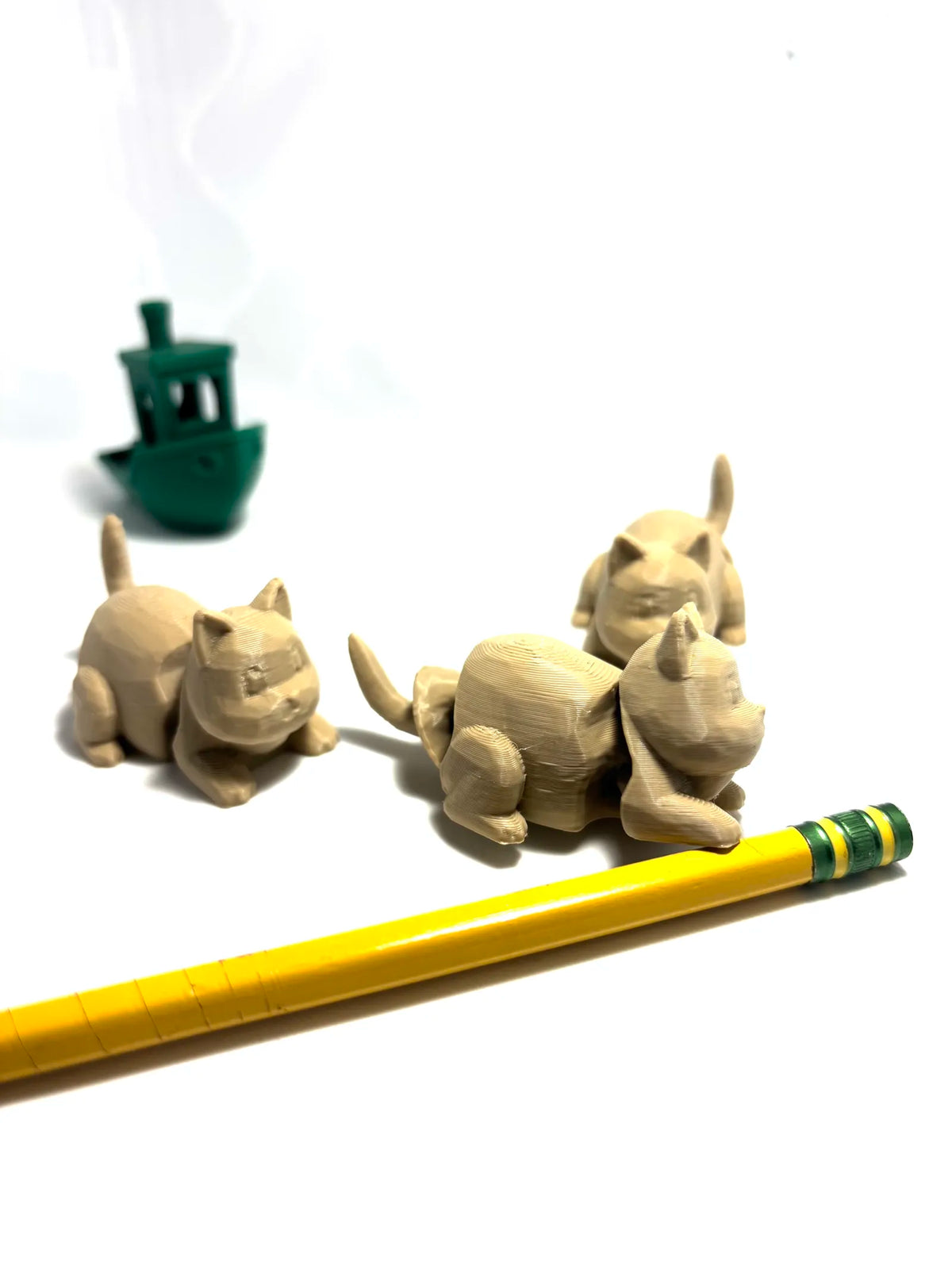 Silly Flexi Cat (designer photo)