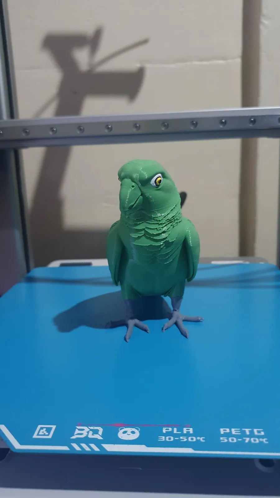 Mangrove Parrot (designer photo)