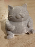 Chubby Cat (designer photo)