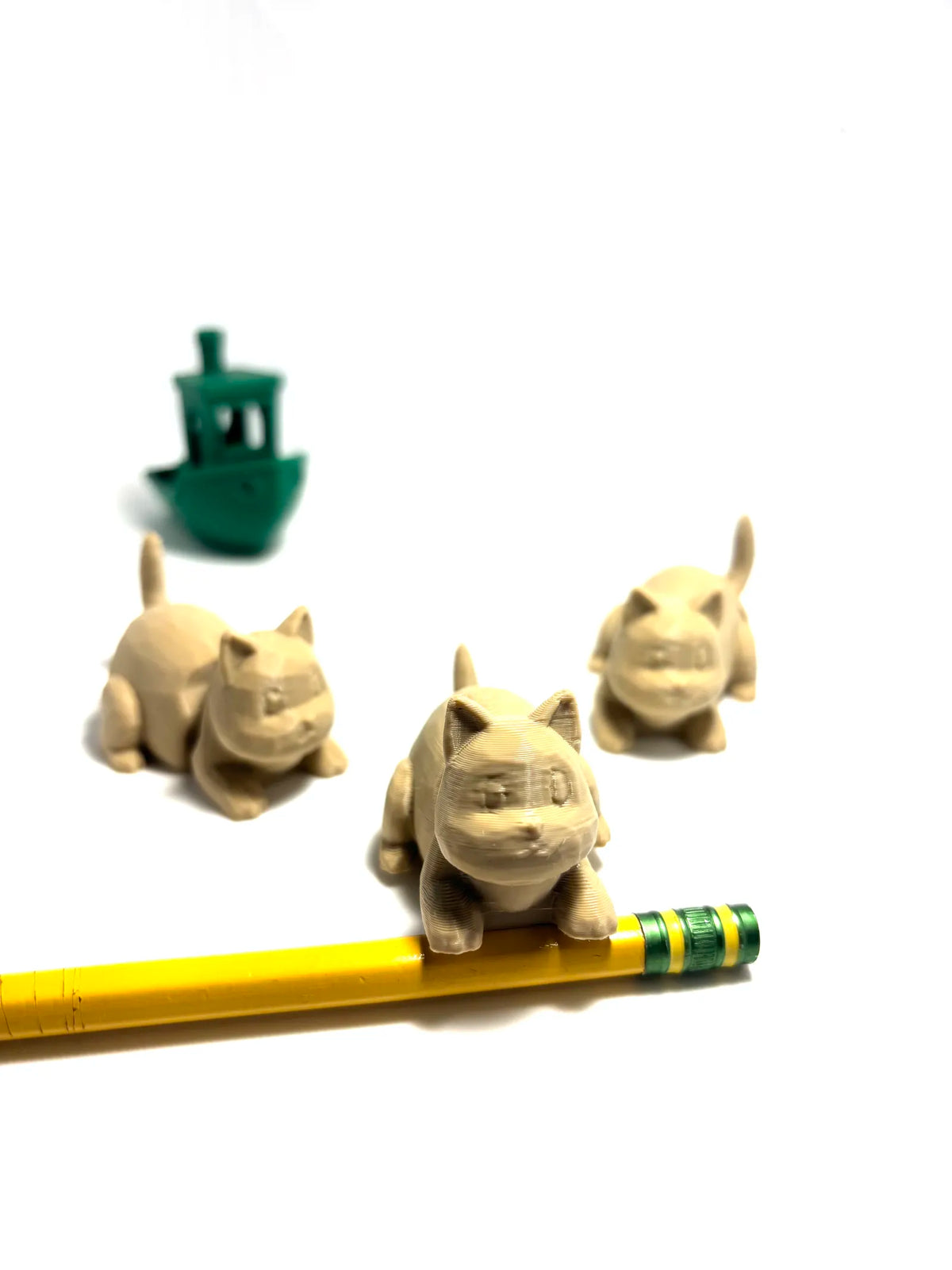 Silly Flexi Cat (designer photo)