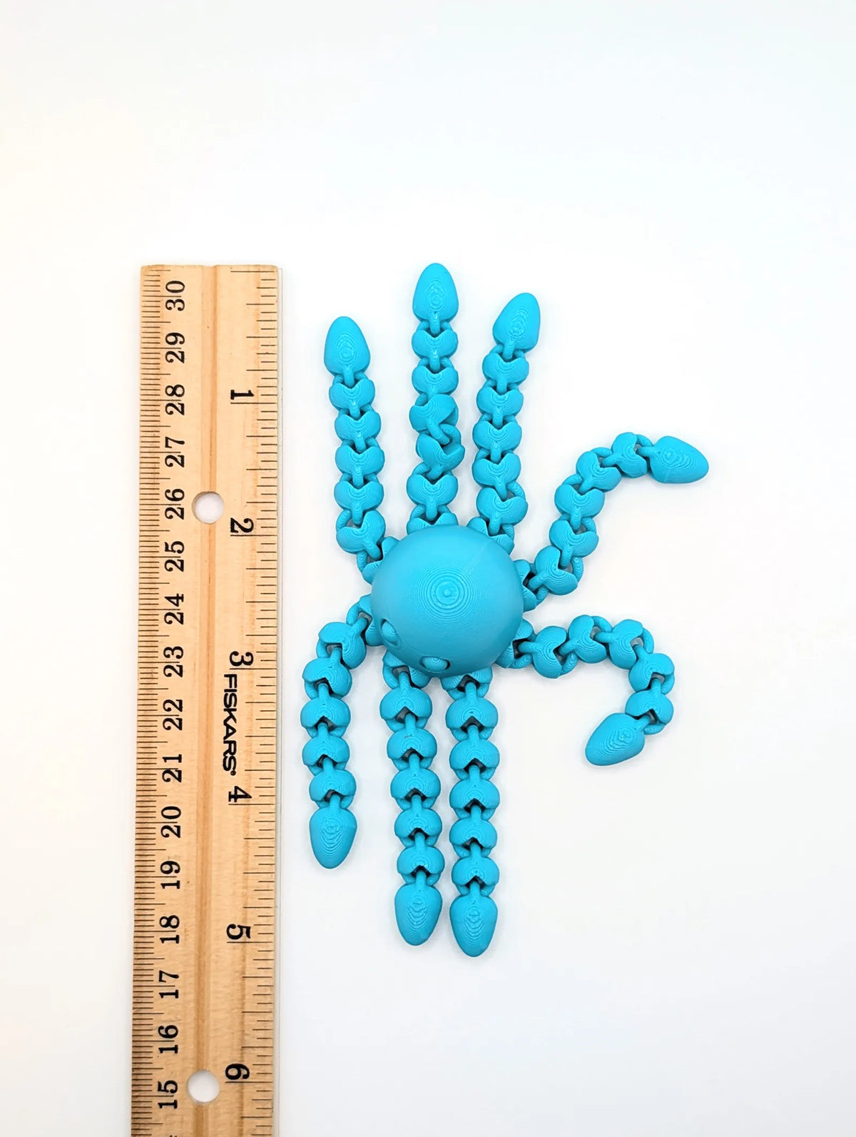 Cute Flexi Octopus (designer photo)