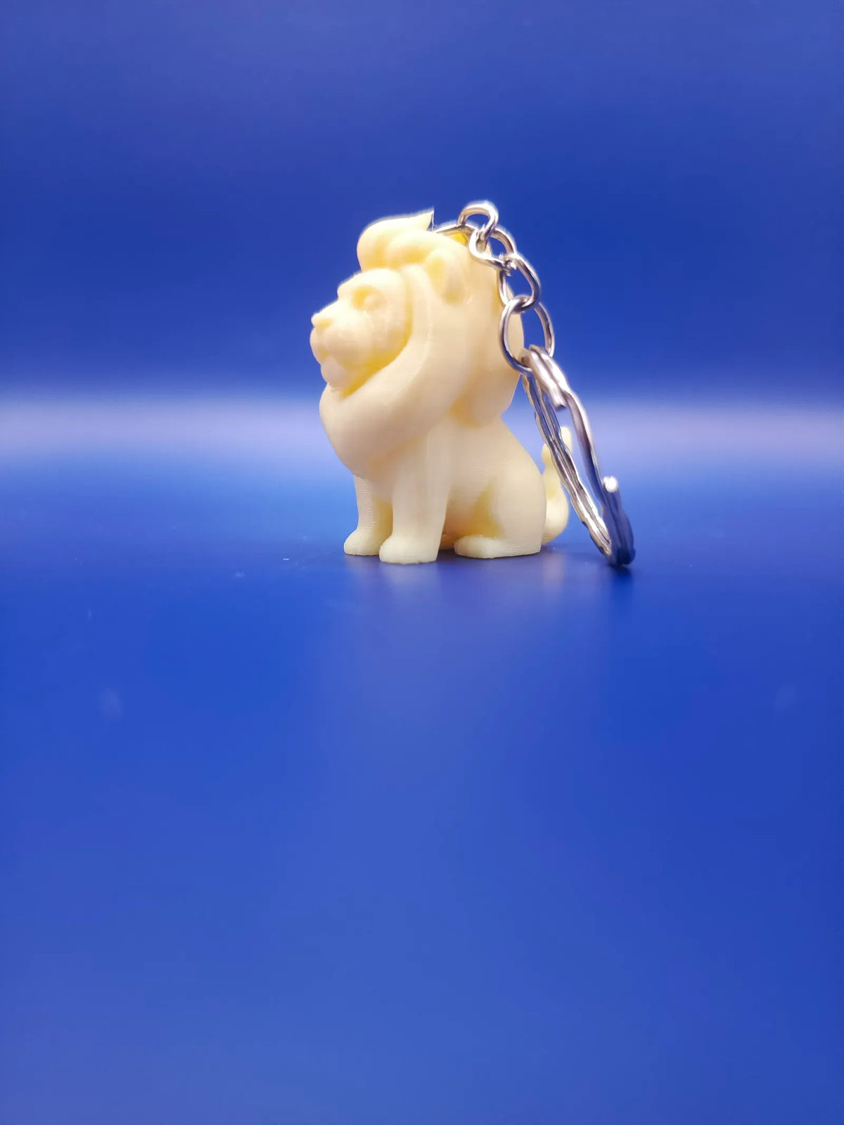 Lion Keychain (designer photo)
