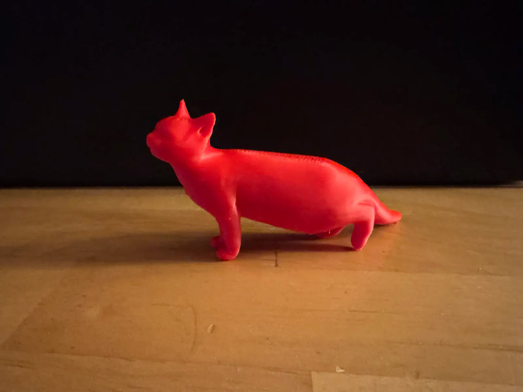 Sitting Cat (designer photo)