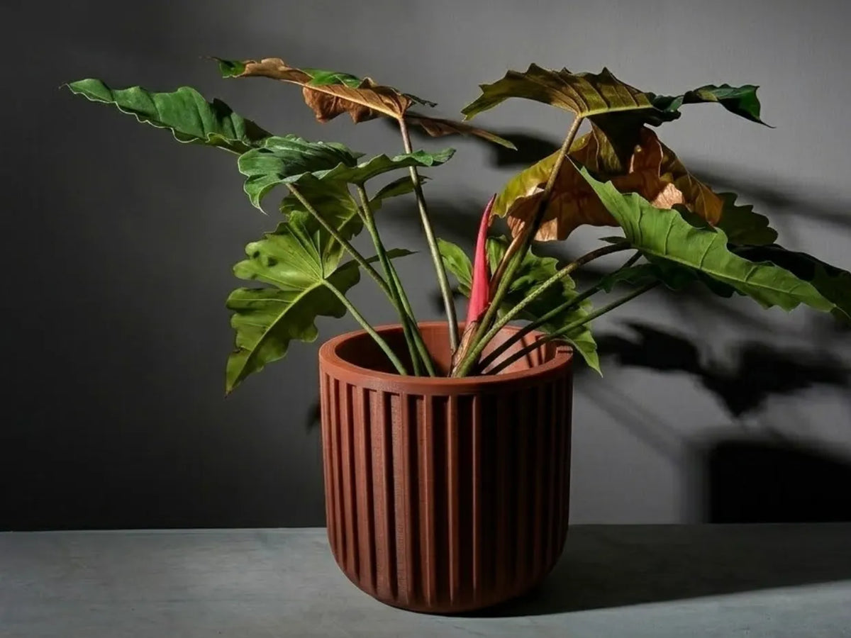 Minimalist Planter (designer photo)