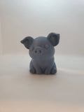 Cute Pig (designer photo)
