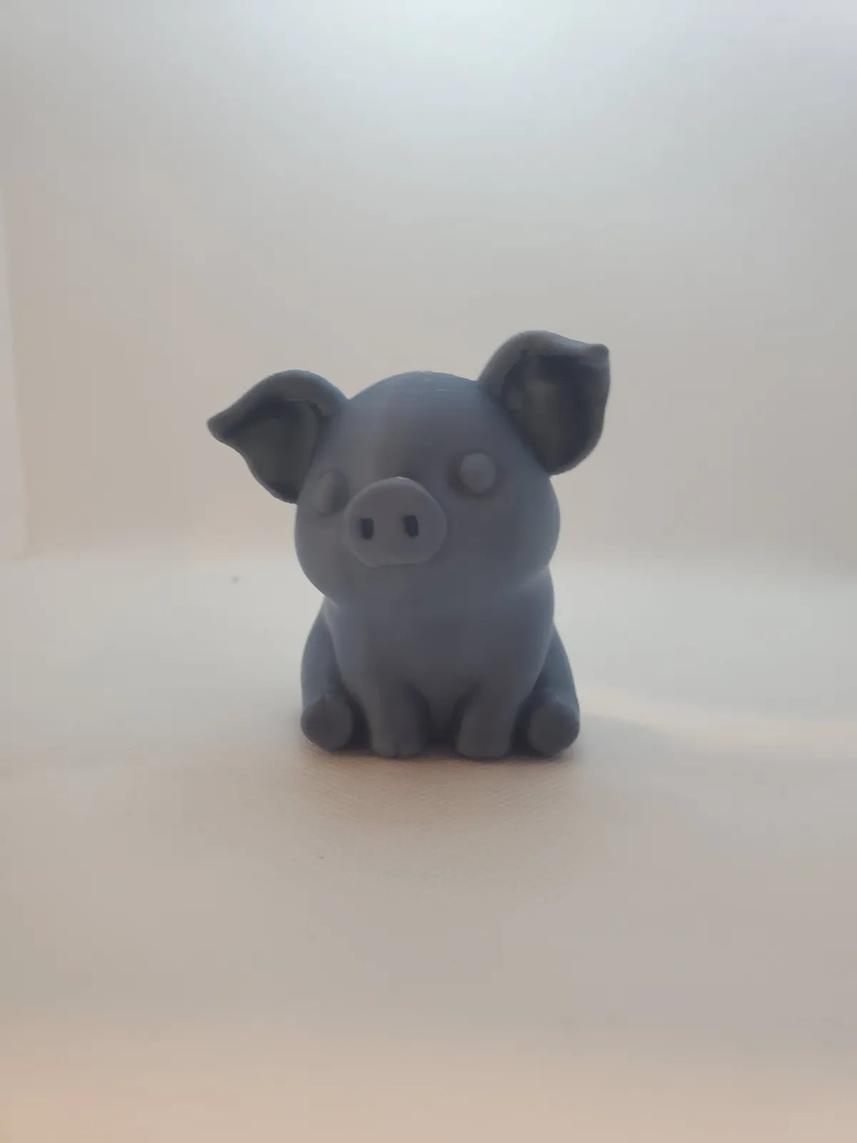 Cute Pig (designer photo)