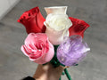 Rose with Stem (designer photo)